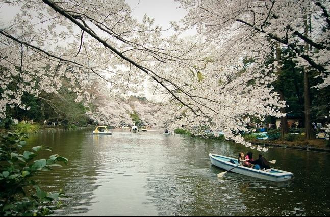 Công viên hồ ở Nhật Bản