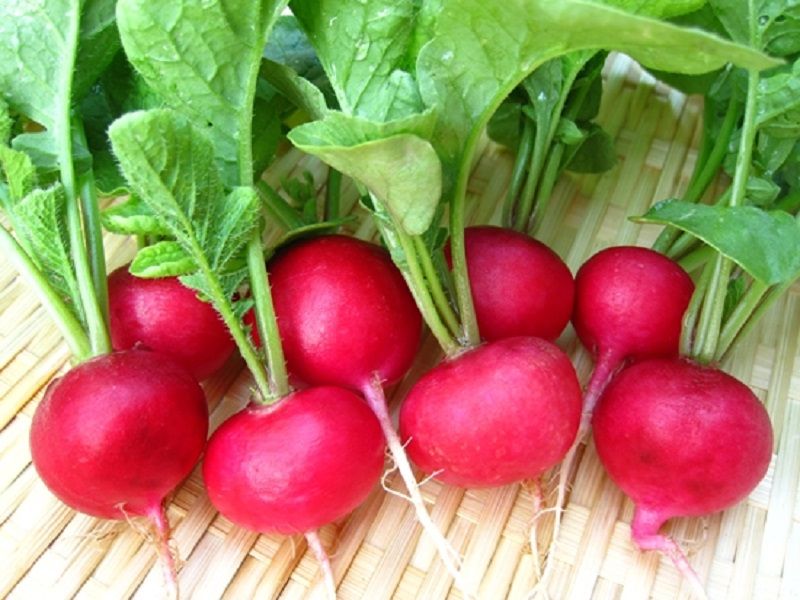 Củ cải đỏ là nguồn thực phẩm chứa nhiều dưỡng chất tốt cho sức khỏe tổng thể.