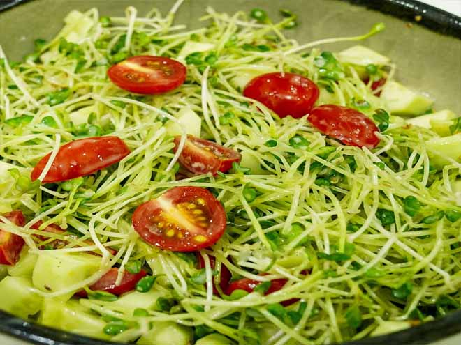 Thành phẩm salad rau mầm trộn dầu oliu