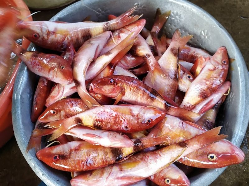 Cách chế biến món cá phèn kho tiêu thơm ngon, bổ dưỡng