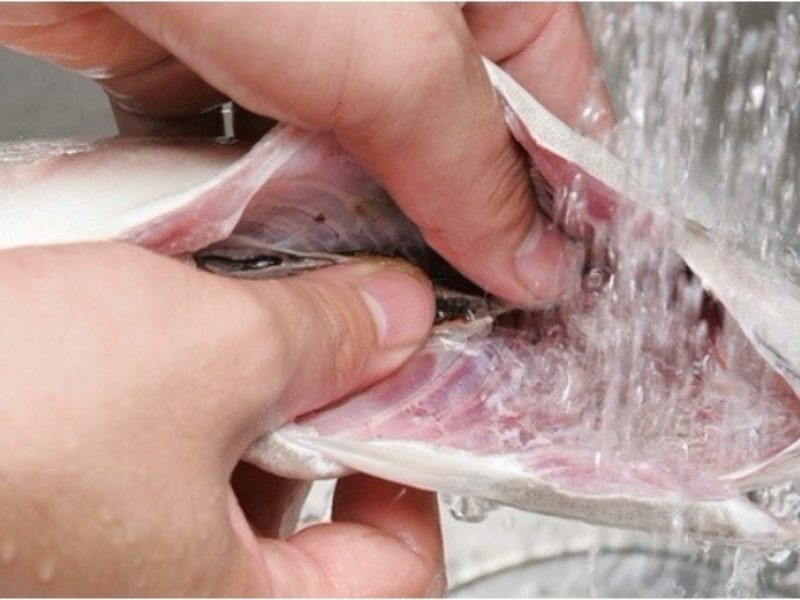 Cách nấu cháo cá chép thơm ngon, bổ dưỡng cực kỳ đơn giản