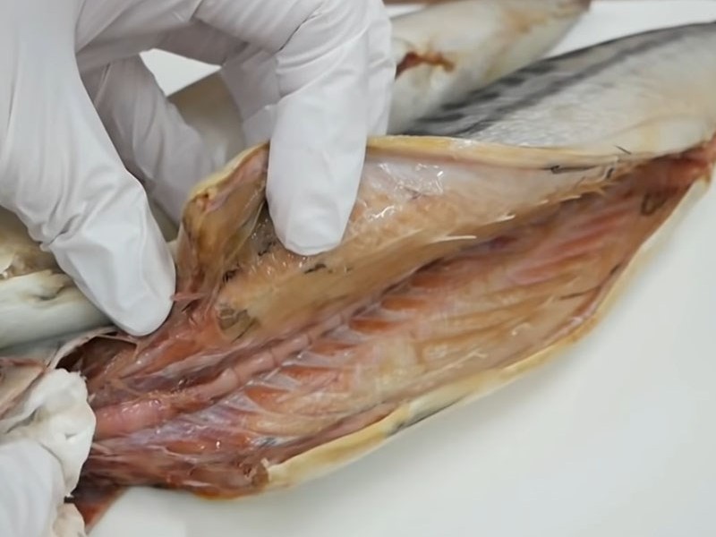 Cách chế biến món cá nục chiên sả ớt