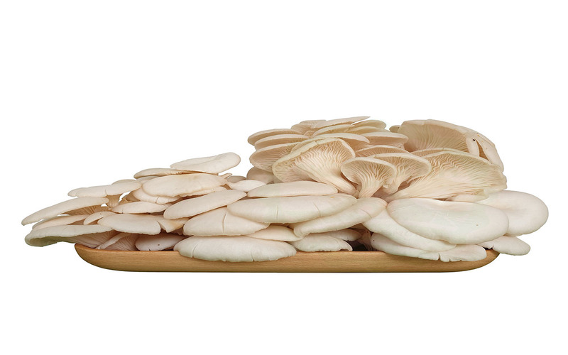 Chọn mua nấm sò tươi để làm nguyên liệu chế biến món ăn
