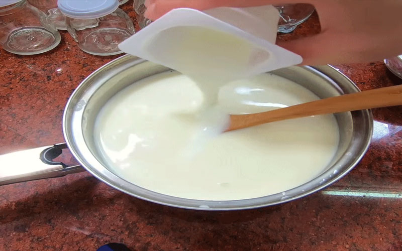 Chế biến món sữa chua sầu riêng