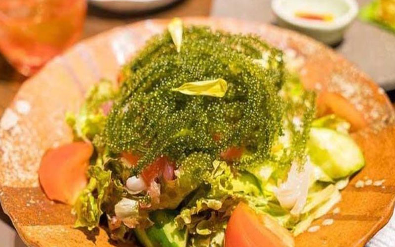 Trang trí và trình bày món salad rong nho cá ngừ