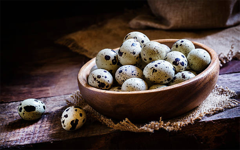 Nguyên liệu chế biến món giò sống bọc trứng cút